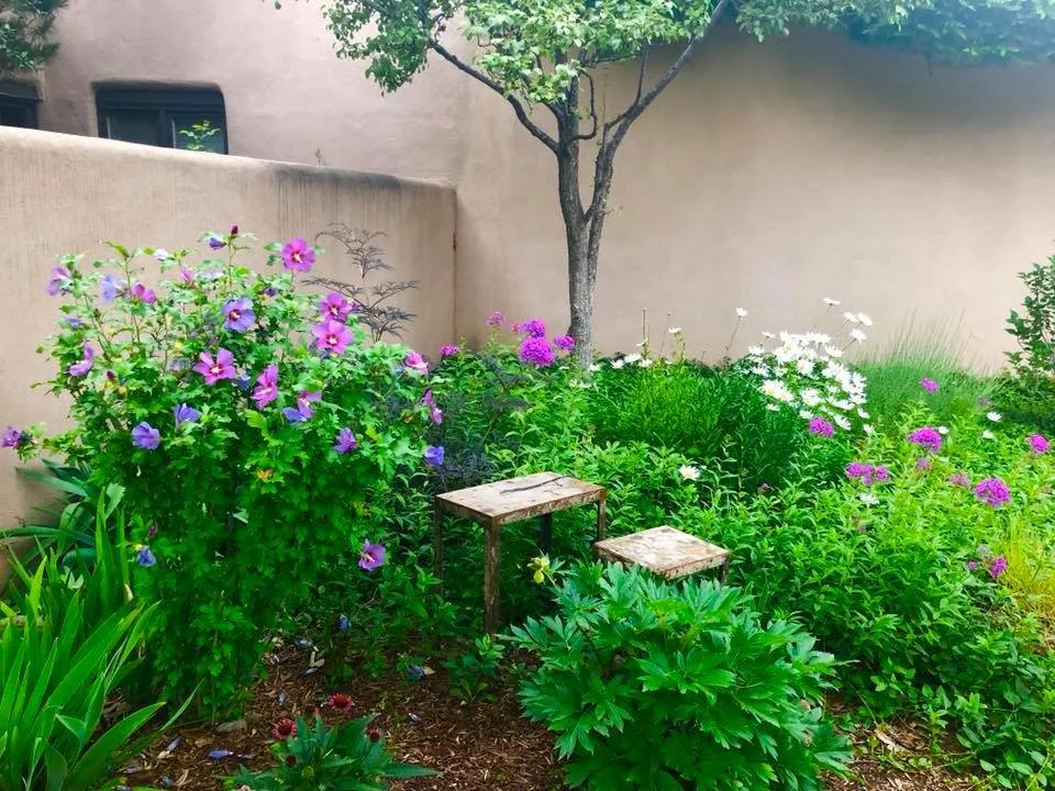 Custom lawn mowing service experts serving Santa Fe, NM - Proscape Landscape Management