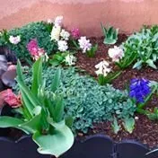 Local landscape design for homes in Santa Fe, NM by Proscape Landscape Management