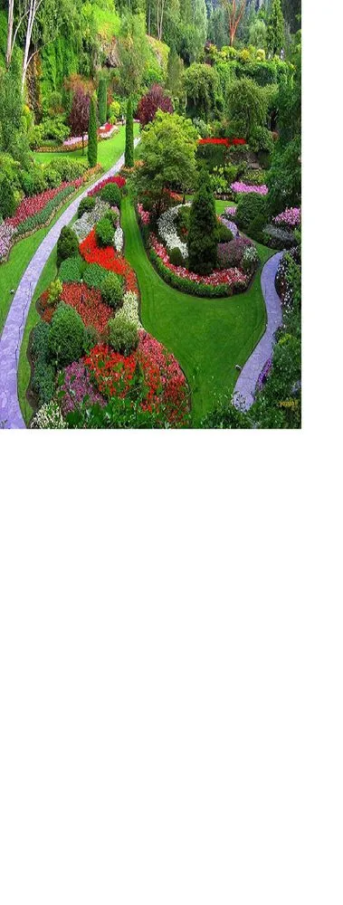 Custom yard cleanup service experts serving Alton, IL - Proscape Landscaping