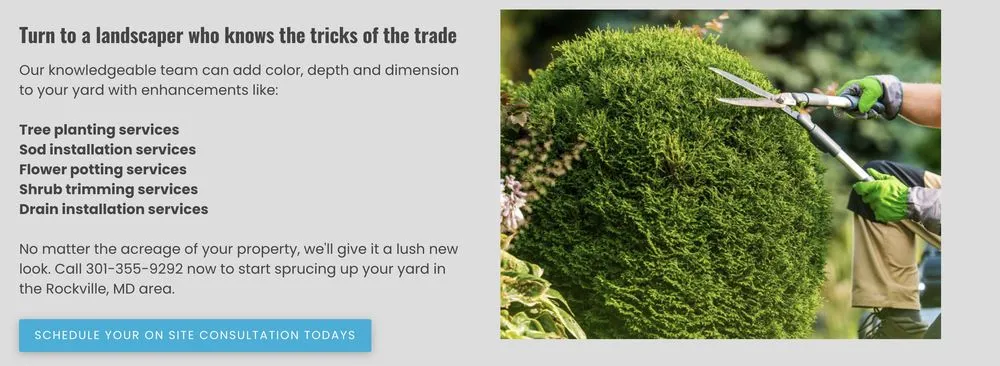 Professional landscape design in Rockville, MD by Proscape Landscaping and Enhancement