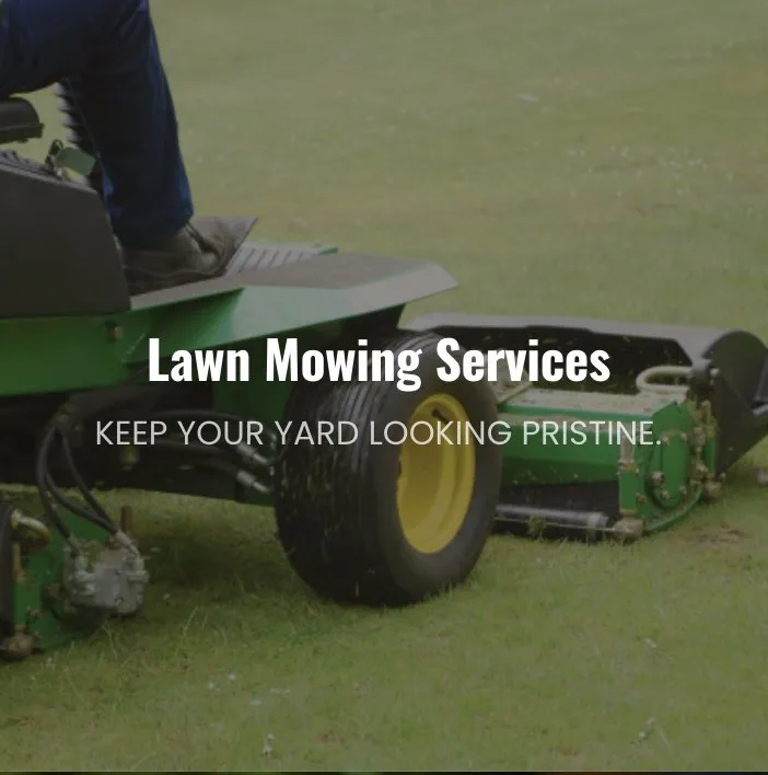 Expert lawn care service near you in Rockville, MD by Proscape Landscaping and Enhancement