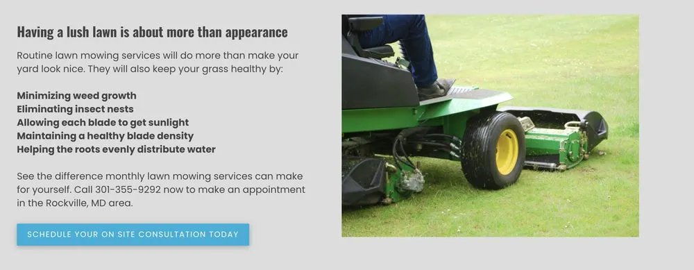 Affordable outdoor landscaping for homes in Rockville, MD by Proscape Landscaping and Enhancement