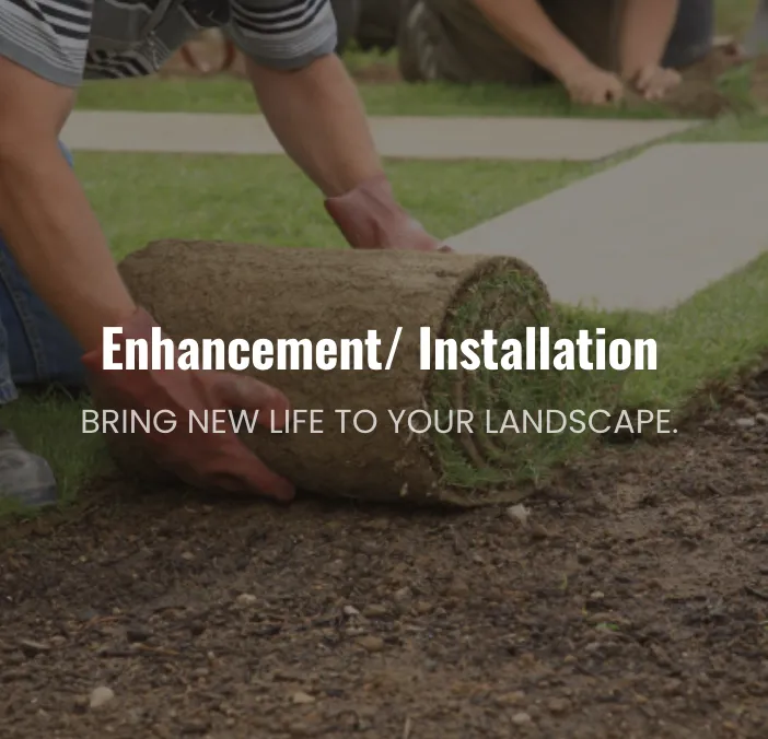 Custom residential landscaping for residential properties across Rockville, MD - Proscape Landscaping and Enhancement