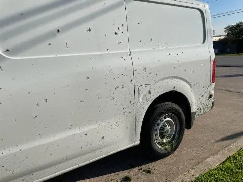 Professional landscape design for year-round maintenance in Austin, TX by Proscape Landscaping