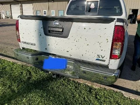 Custom lawn mowing service for beautiful yards in Austin, TX by Proscape Landscaping