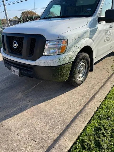 Trusted lawn care service in Austin, TX - Proscape Landscaping