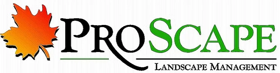 Trusted yard cleanup service in Mound House, NV - ProScape Landscaping