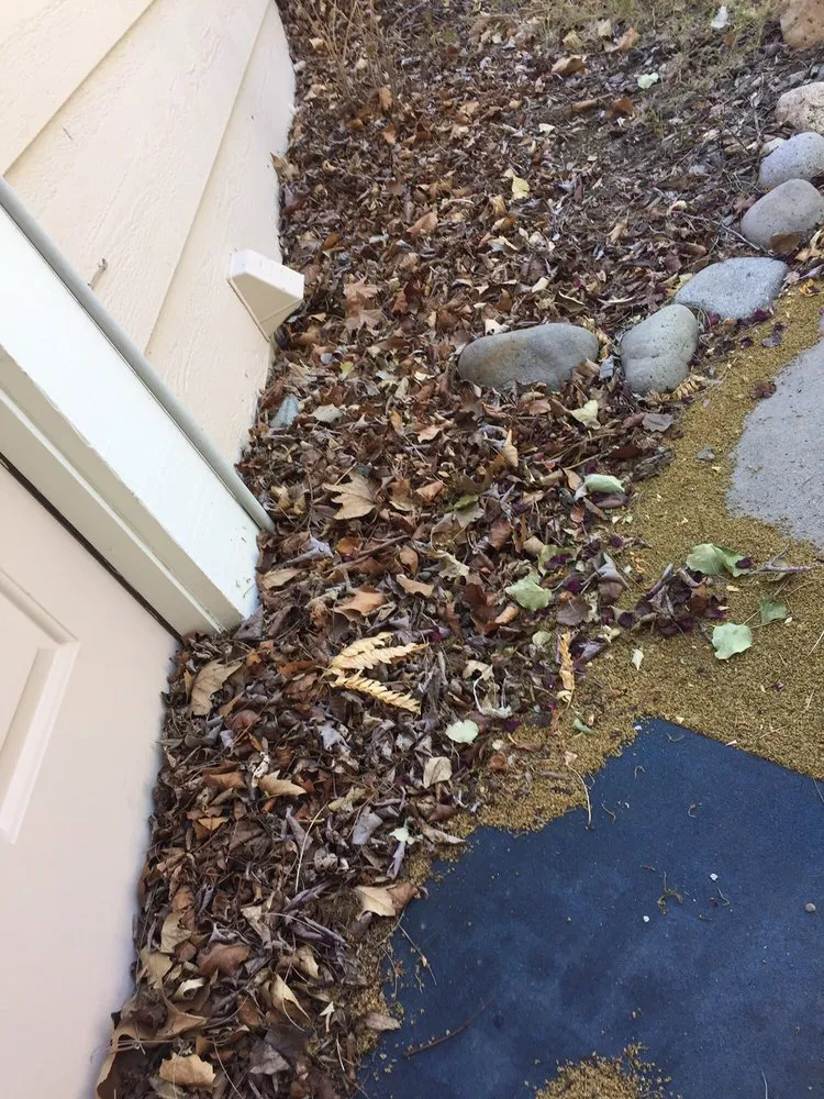 Trusted landscape installation experts serving Mound House, NV - ProScape Landscaping