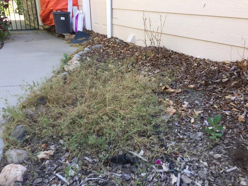 Local outdoor landscaping near you across Mound House, NV - ProScape Landscaping