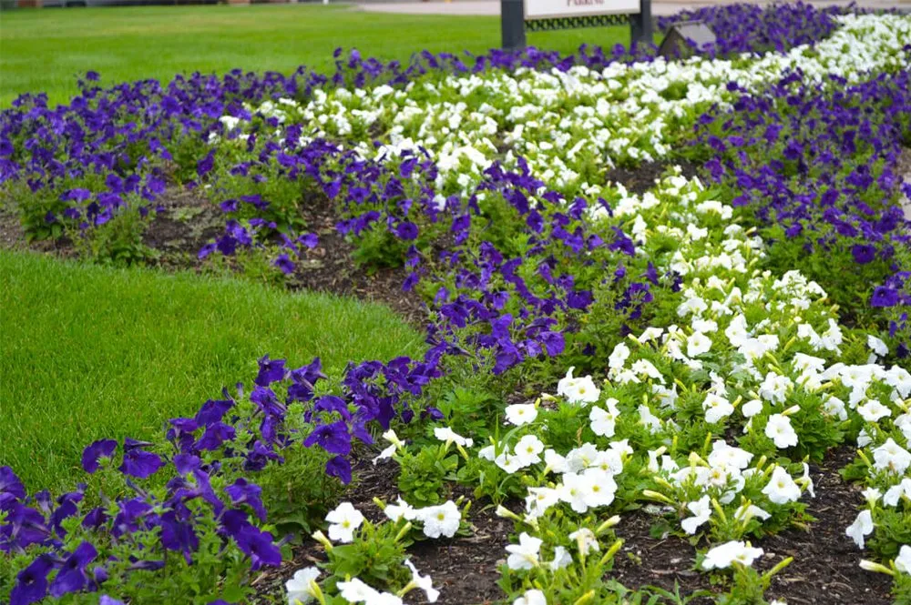 Reliable garden landscaping experts serving North Kingstown, RI - Proscape Landscaping