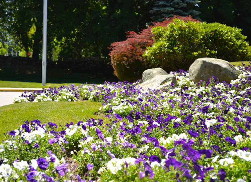 Expert lawn care service in North Kingstown, RI - Proscape Landscaping
