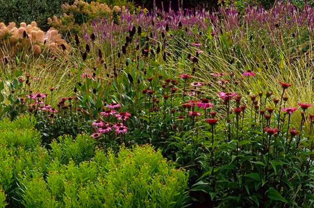 Local yard maintenance in North Kingstown, RI - Proscape Landscaping