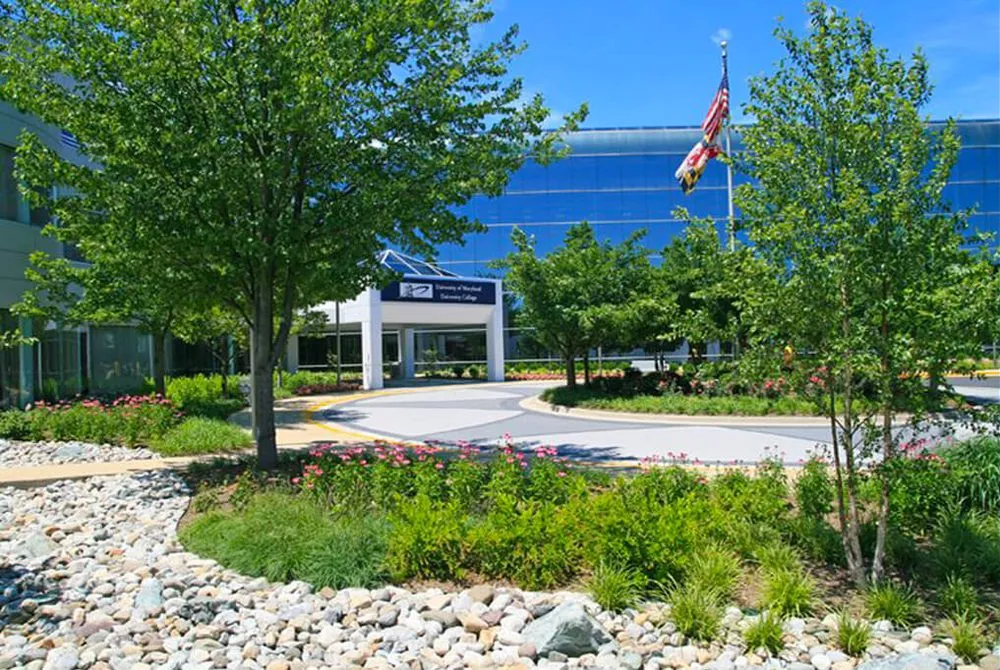 Reliable landscape installation experts serving North Kingstown, RI - Proscape Landscaping