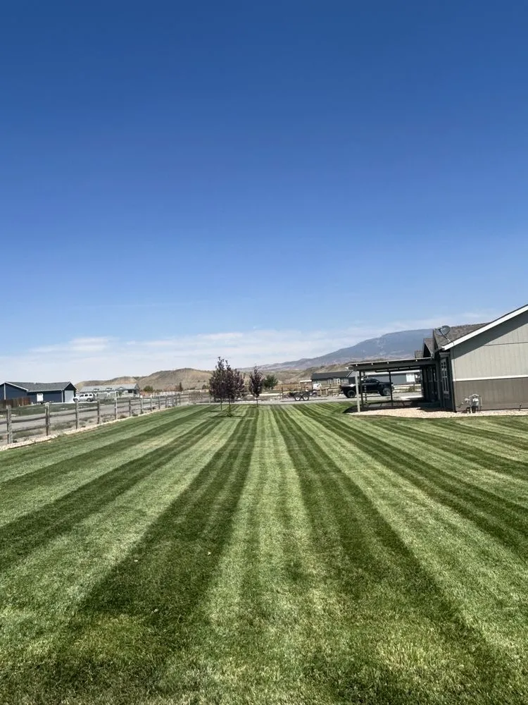 Top-rated landscape installation in Delta, CO - Proscape Lawn Care