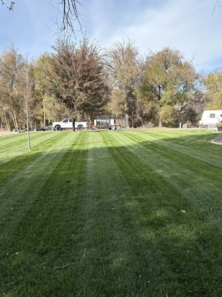Professional landscaping services for beautiful yards in Delta, CO by Proscape Lawn Care