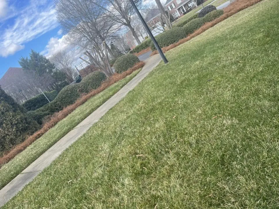 Trusted yard cleanup service in Concord, NC by Proscape Management