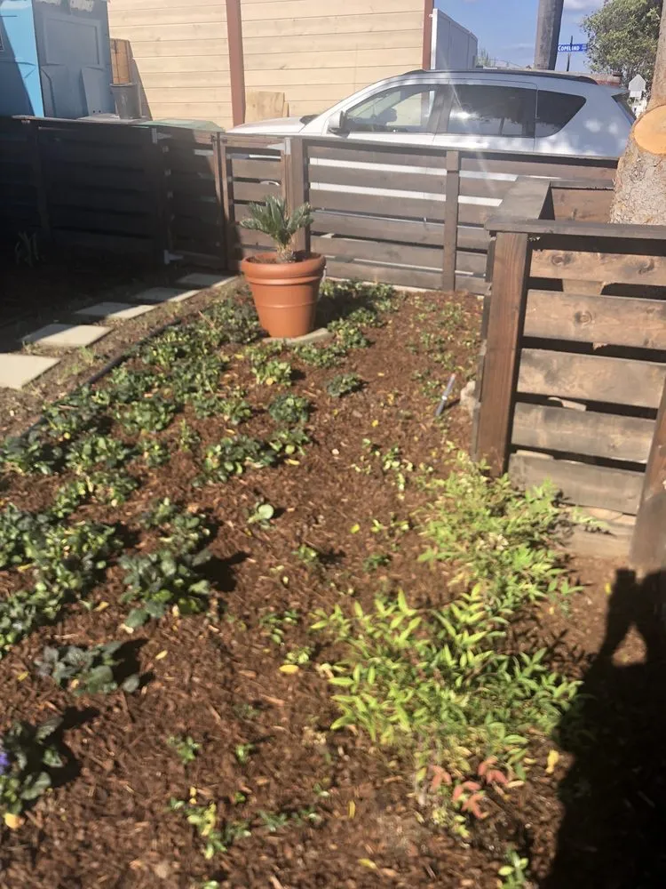 Professional garden landscaping for beautiful yards across San Diego, CA - Proscape of San Diego