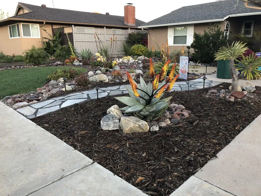 Local yard cleanup service for beautiful yards in San Diego, CA by Proscape of San Diego