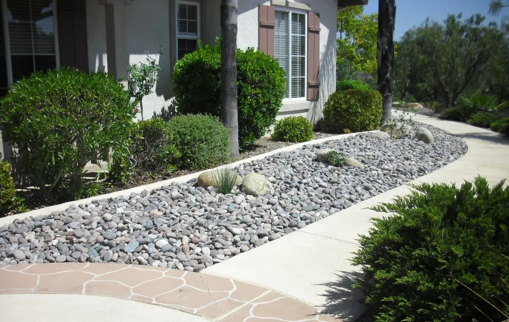 Local lawn care service in San Diego, CA - Proscape of San Diego