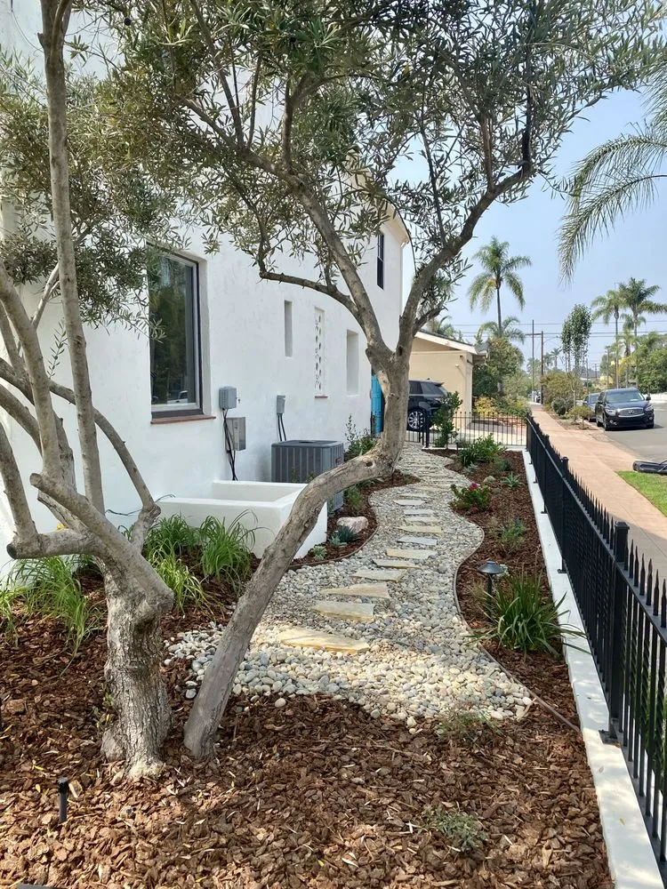 Expert lawn mowing service experts serving San Diego, CA - Proscape of San Diego