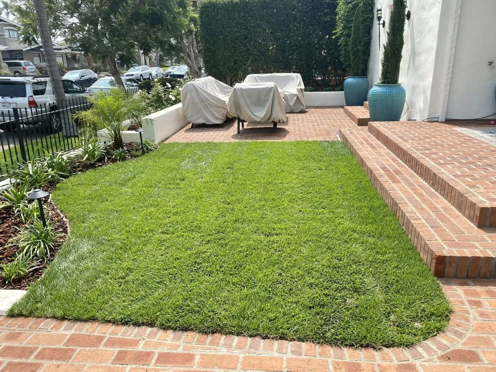 Professional lawn mowing service for outdoor upgrades across San Diego, CA - Proscape of San Diego