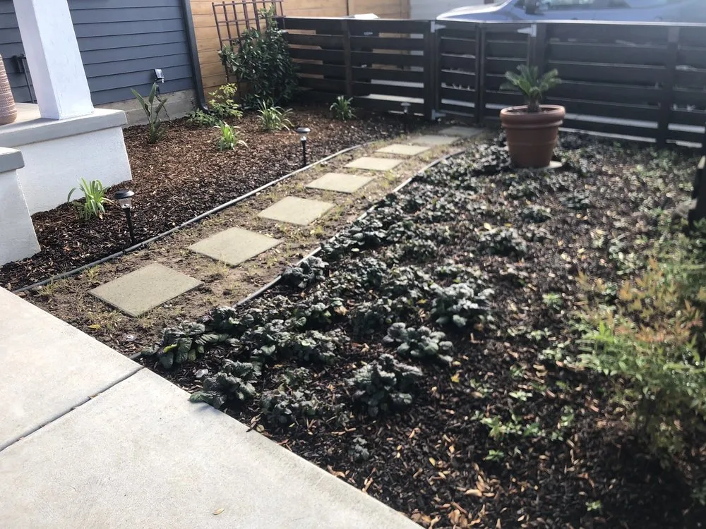 Expert landscape installation experts serving San Diego, CA - Proscape of San Diego