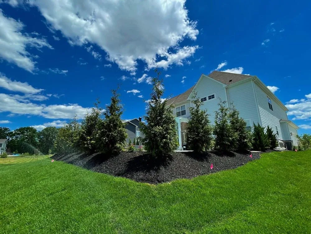Reliable lawn care service for homes in Carmel, IN by Proscape Property Maintenance