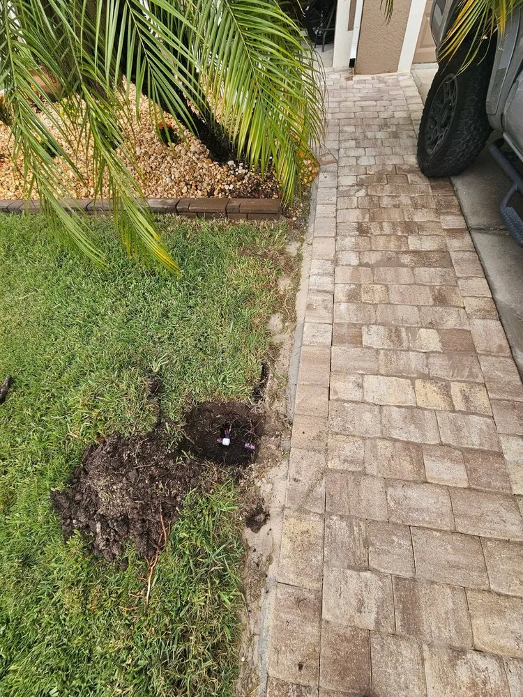 Affordable residential landscaping experts serving Titusville, FL - ProScape Solutions