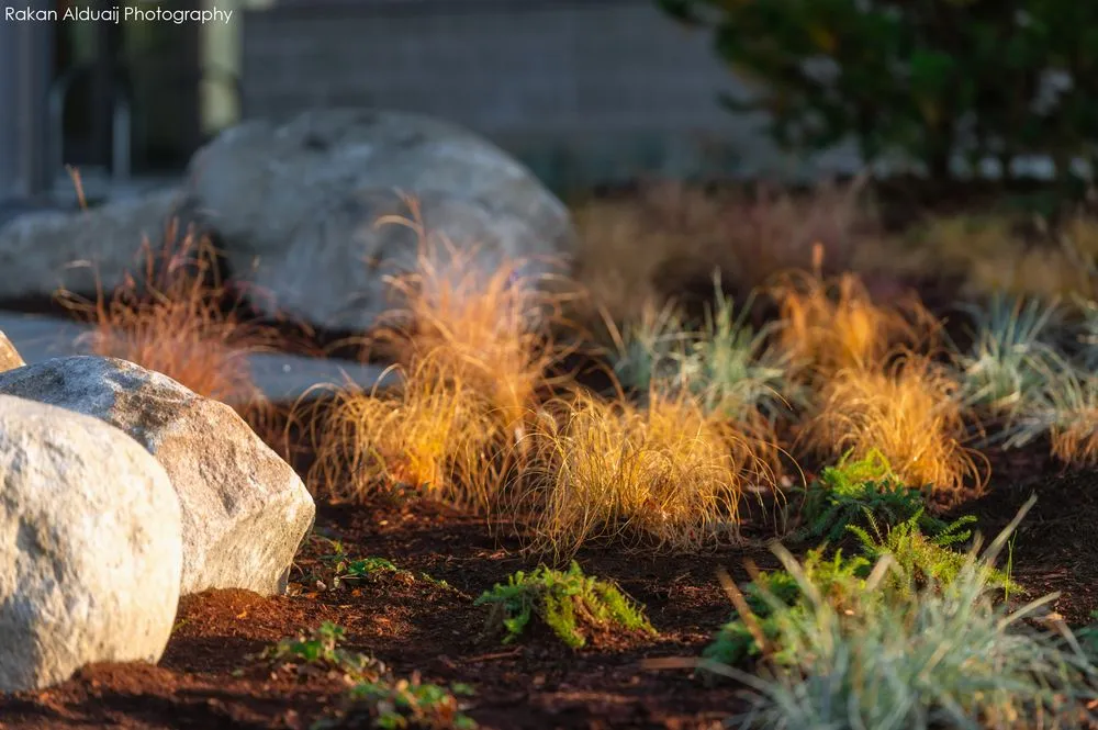 Reliable landscaping services in Anacortes, WA - ProScapes