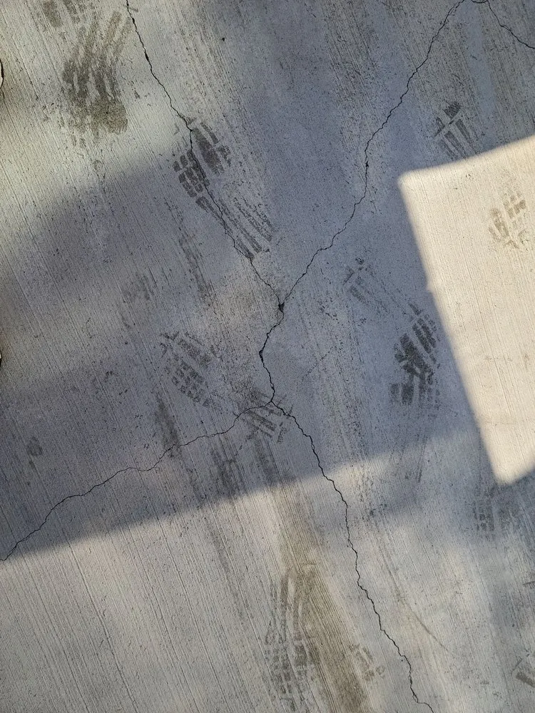 Trusted yard maintenance for year-round maintenance in Anacortes, WA by ProScapes