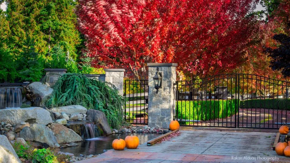 Local landscaping services experts serving Anacortes, WA - ProScapes