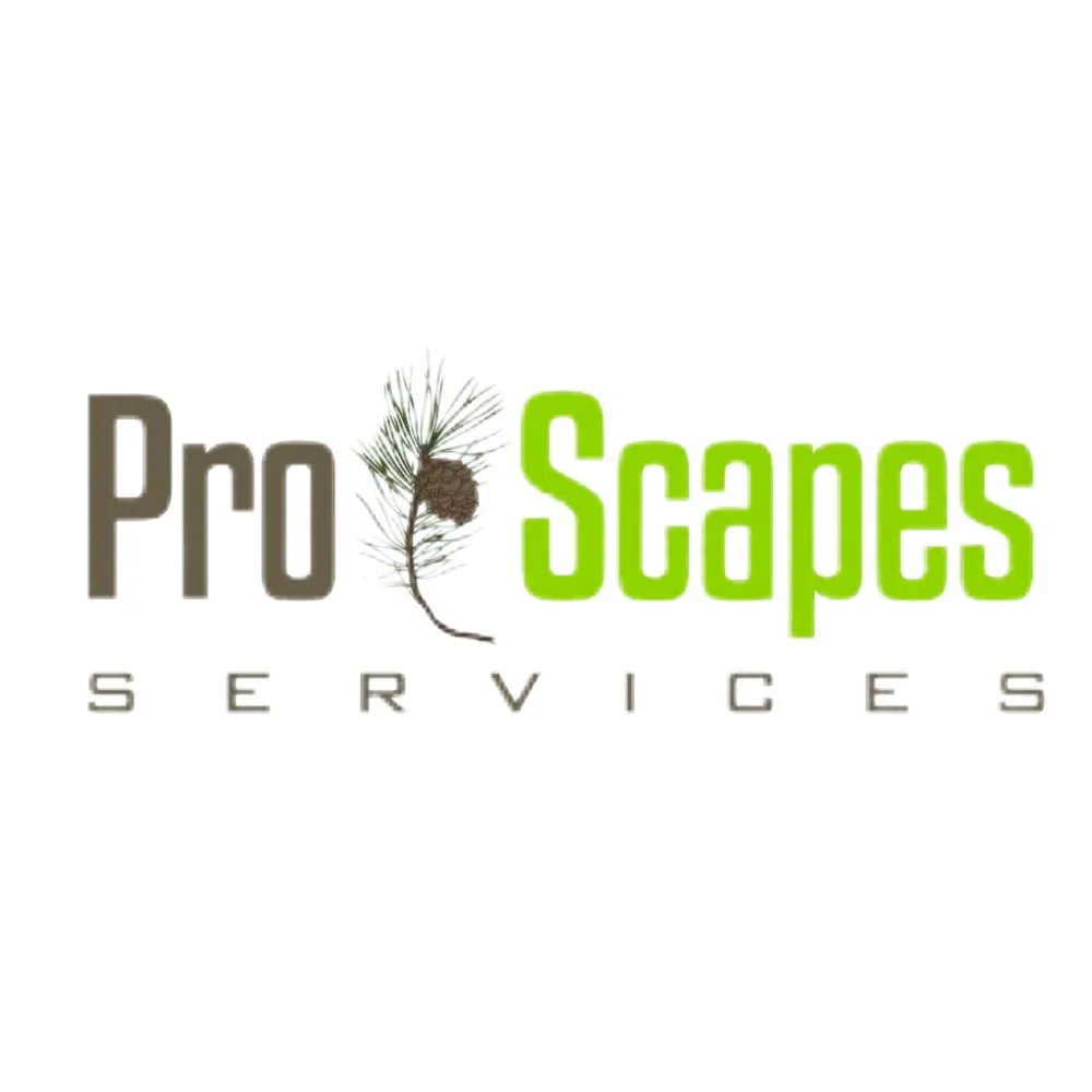 Custom landscaping services experts serving Munford, AL - Proscapes and Services