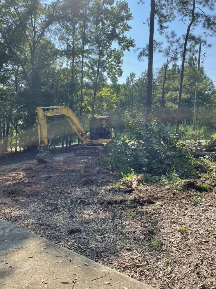 Trusted yard cleanup service in Munford, AL by Proscapes and Services