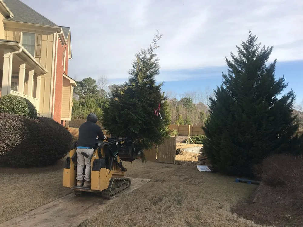Professional residential landscaping in Acworth, GA by Proscapes and Tree