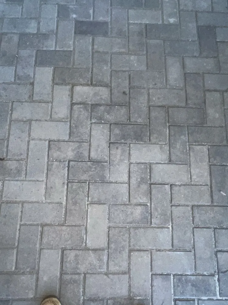 Custom yard cleanup service in Acworth, GA by Proscapes and Tree