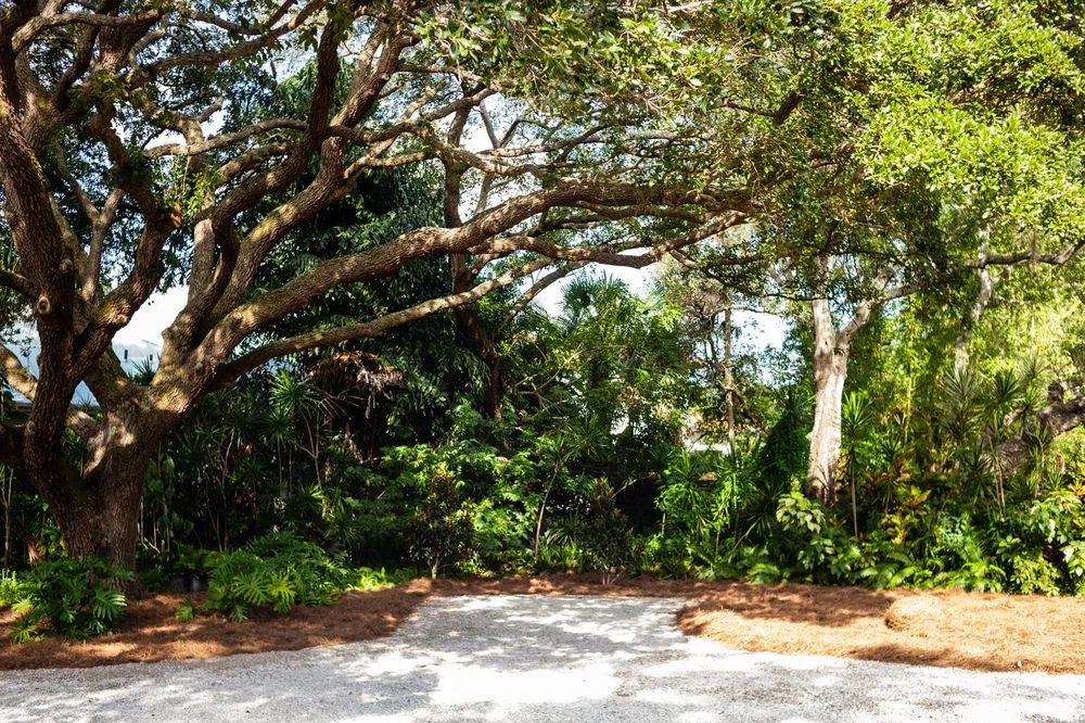 Affordable landscaping services near you in Sarasota, FL by Proscapes by Shawn Brooks