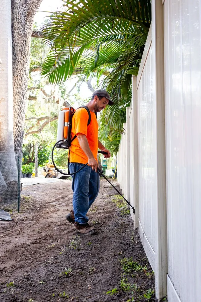 Custom yard cleanup service for year-round maintenance across Sarasota, FL - Proscapes by Shawn Brooks