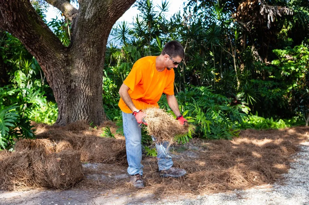 Expert yard maintenance with custom design across Sarasota, FL - Proscapes by Shawn Brooks