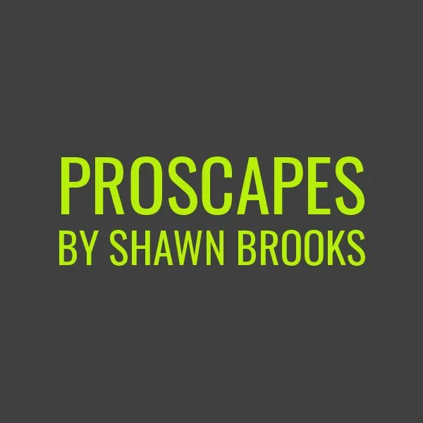 Top-rated yard cleanup service experts serving Sarasota, FL - Proscapes by Shawn Brooks