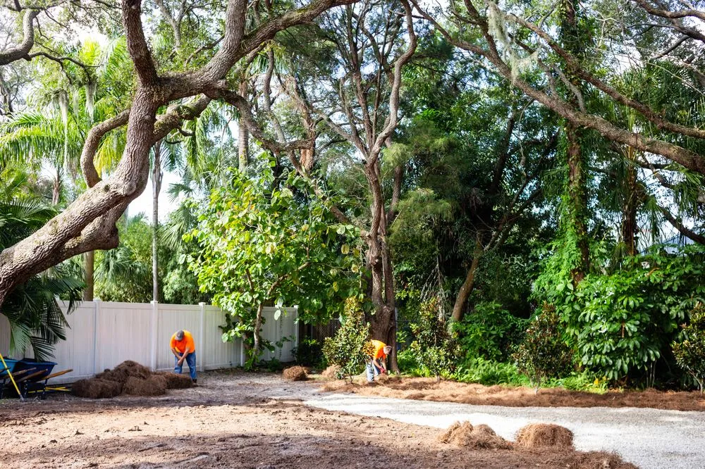 Local garden landscaping in Sarasota, FL - Proscapes by Shawn Brooks