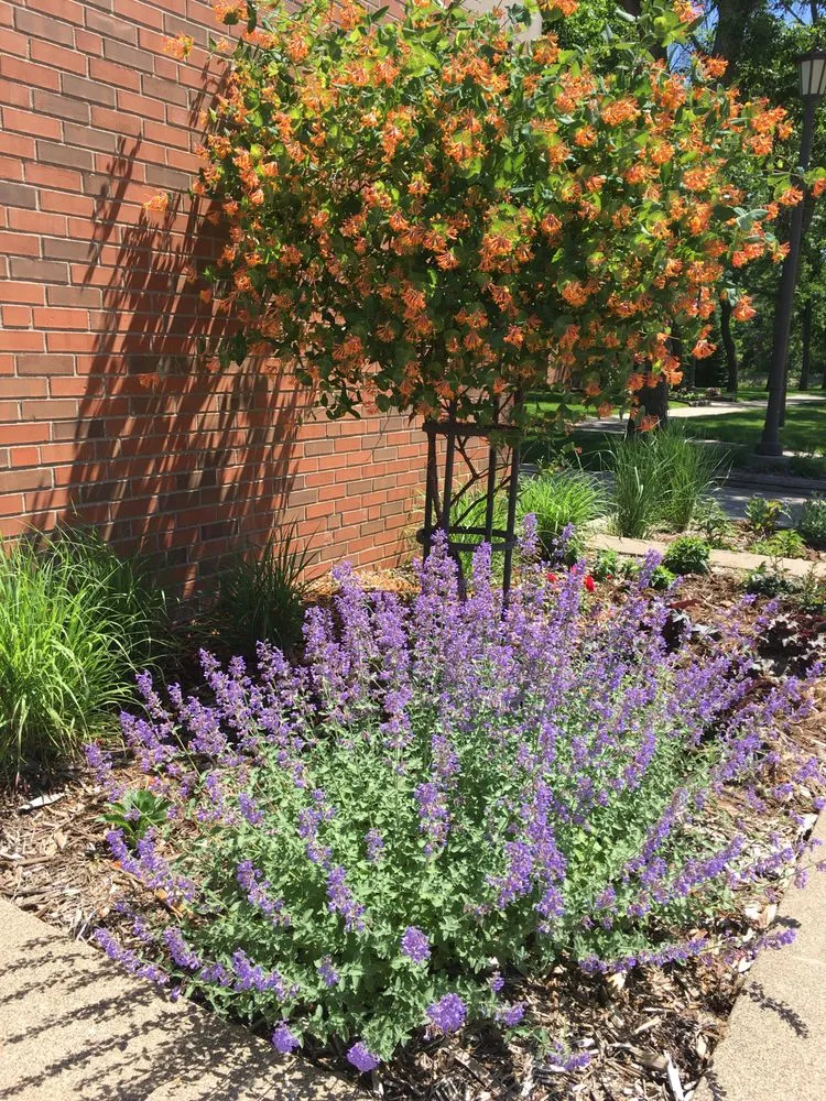 Trusted landscape design near you in Eagan, MN by ProScapes