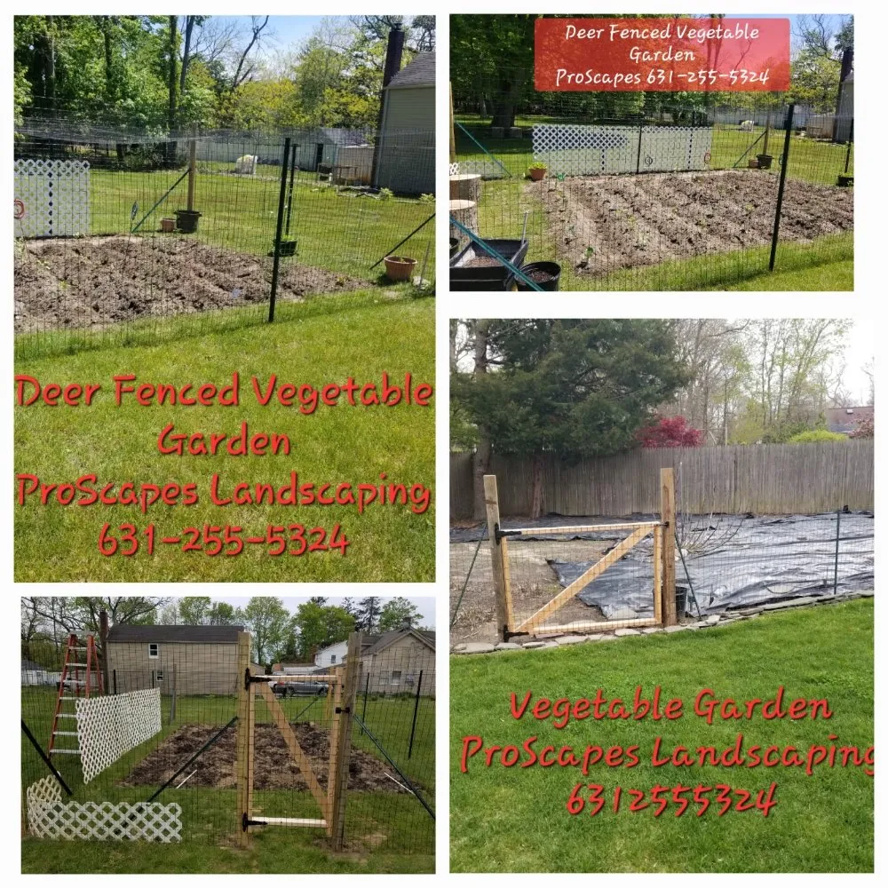 Professional yard cleanup service for homes in East Patchogue, NY by Proscapes Landscaping