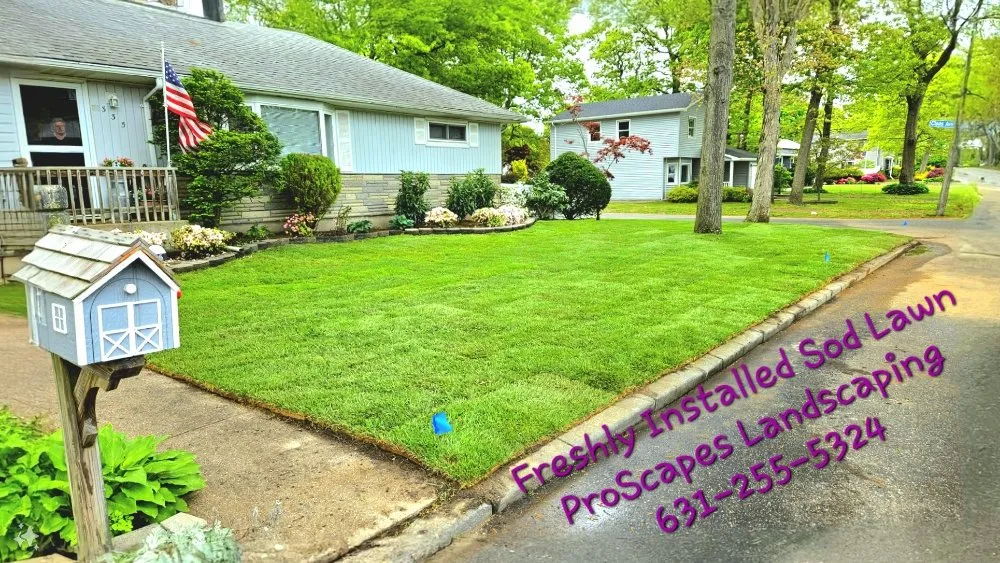 Trusted landscaping services in East Patchogue, NY - Proscapes Landscaping