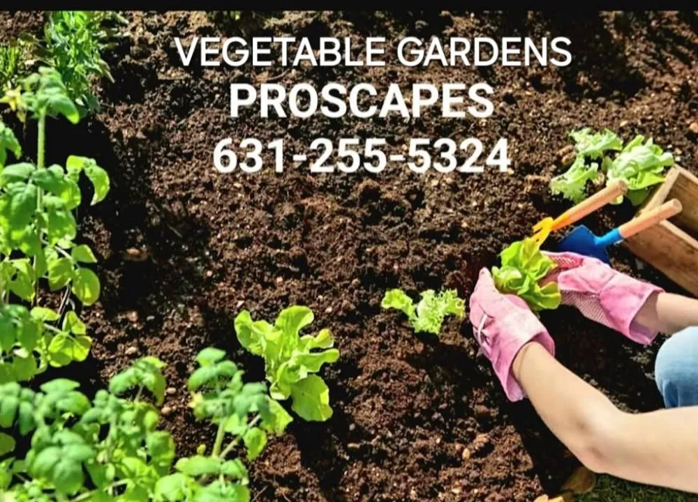 Reliable outdoor landscaping in East Patchogue, NY - Proscapes Landscaping