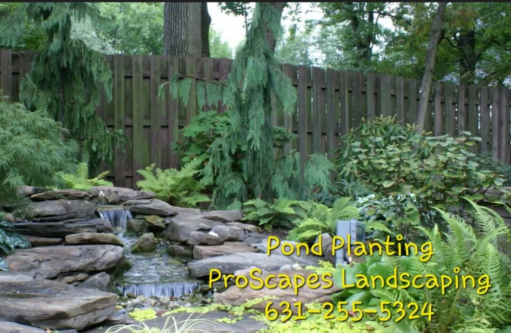 Trusted residential landscaping for beautiful yards across East Patchogue, NY - Proscapes Landscaping