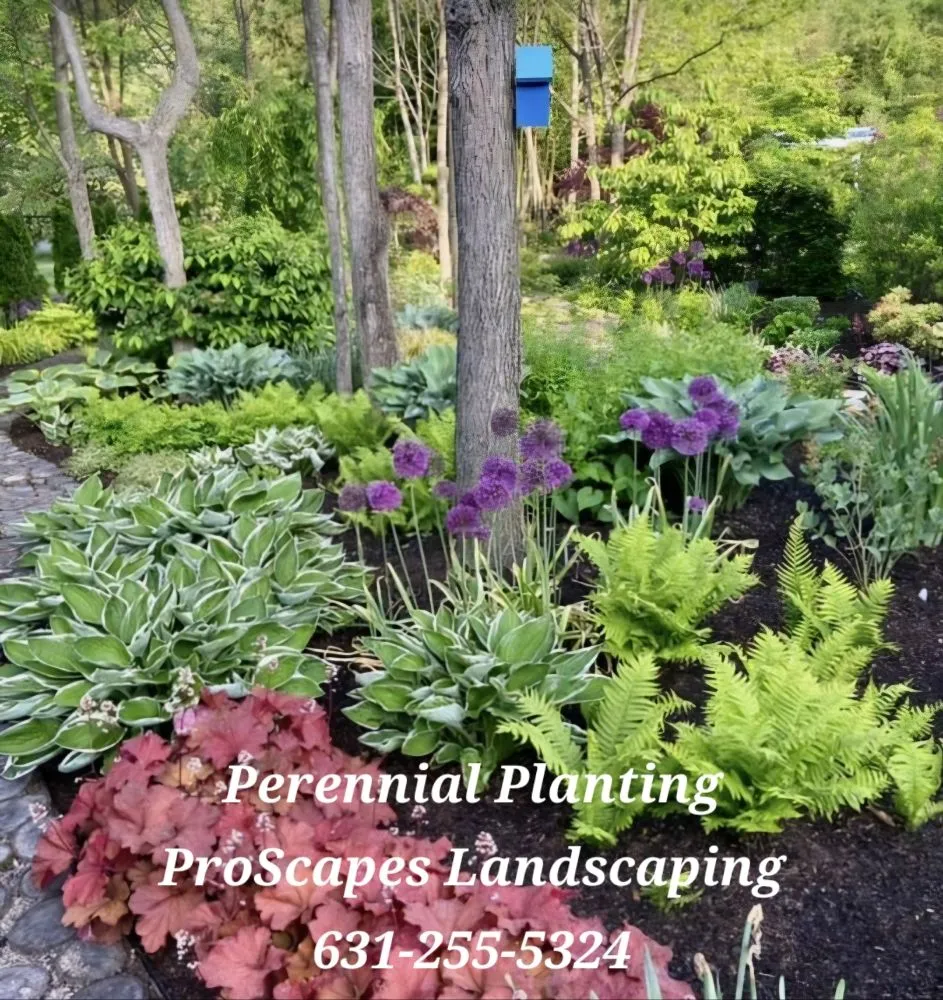 Expert lawn mowing service for year-round maintenance in East Patchogue, NY by Proscapes Landscaping