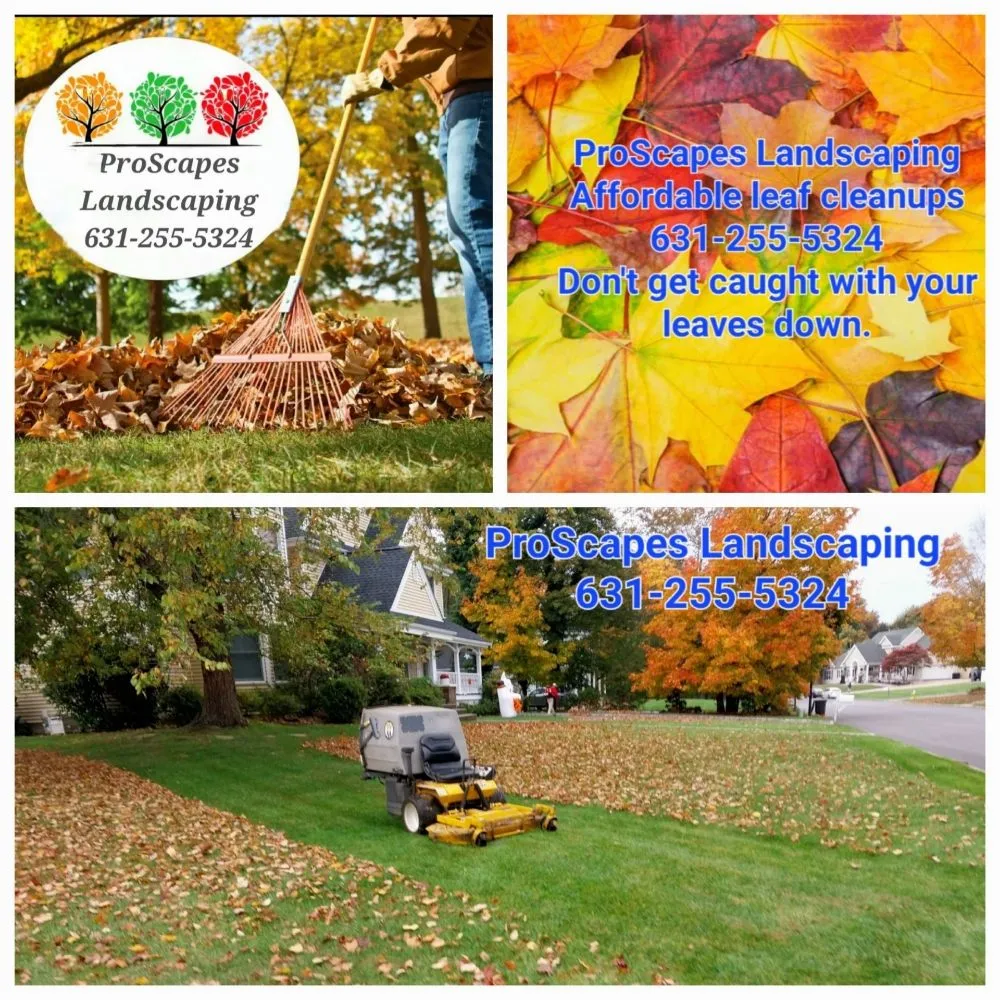 Expert landscape design experts serving East Patchogue, NY - Proscapes Landscaping