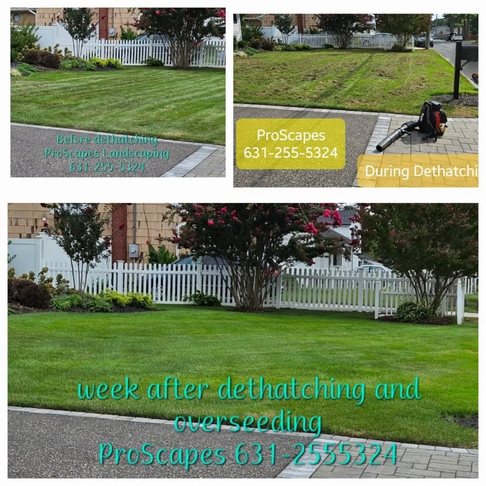 Top-rated outdoor landscaping for year-round maintenance across East Patchogue, NY - Proscapes Landscaping
