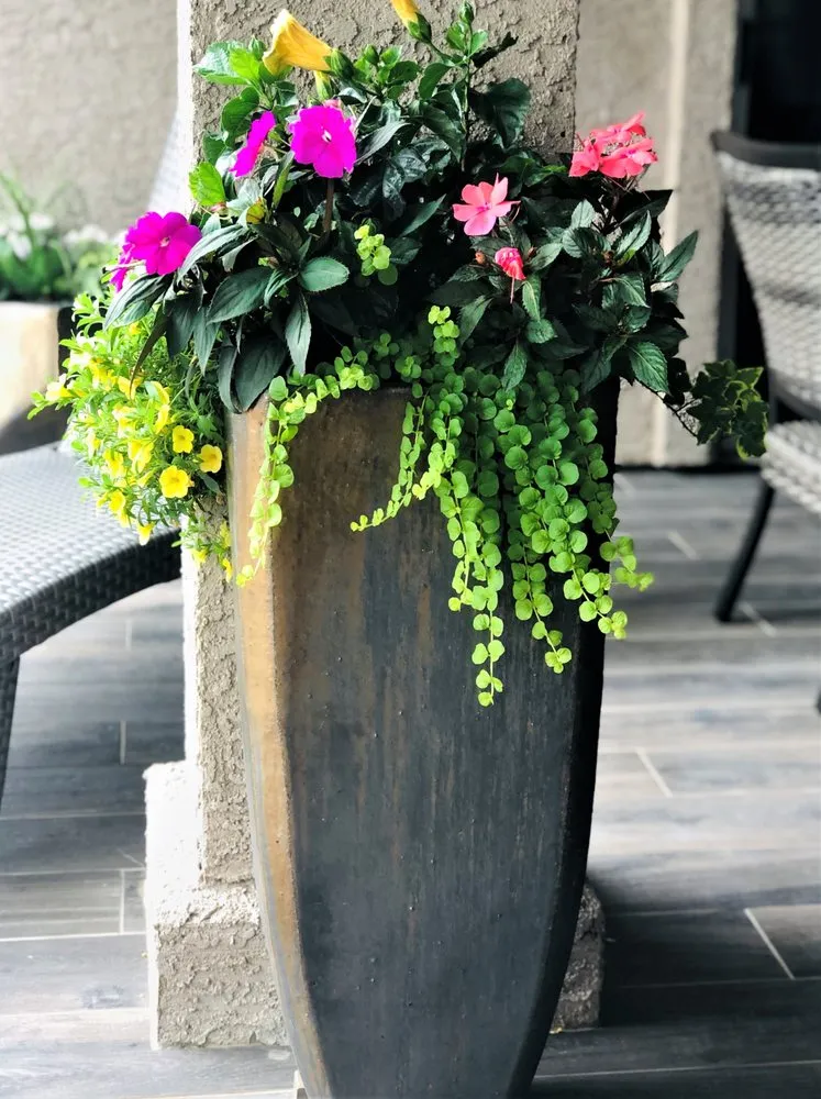 Trusted outdoor landscaping experts serving Fort Worth, TX - ProScapes Lawn Care