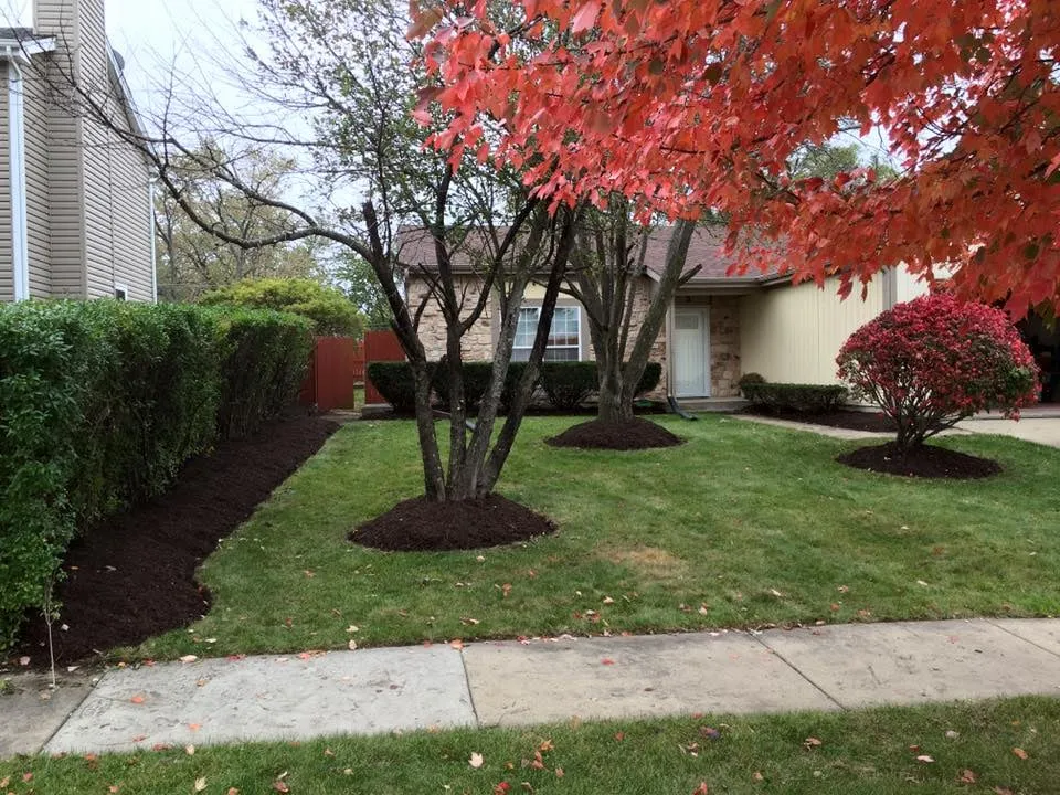 Professional yard maintenance for homes across Wesley Chapel, FL - ProScapes Lawn Care